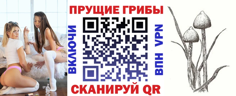 закладки  Ростов-на-Дону  Псилоцибиновые грибы MAGIC MUSHROOMS 