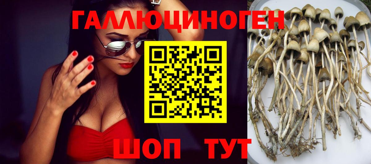 Псилоцибиновые грибы Magic Shrooms Ростов-на-Дону